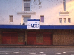 new_monkey_photo.jpg